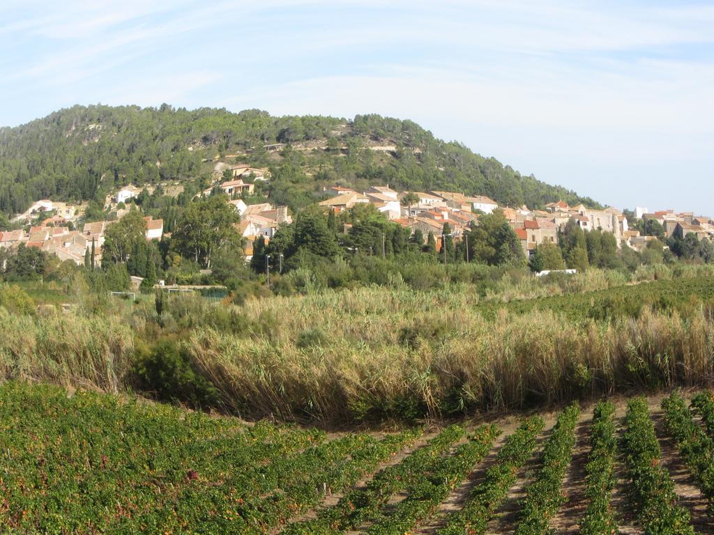 Chambre D'Hotes Le Laurier Blanc Portel-des-Corbieres Exteriör bild