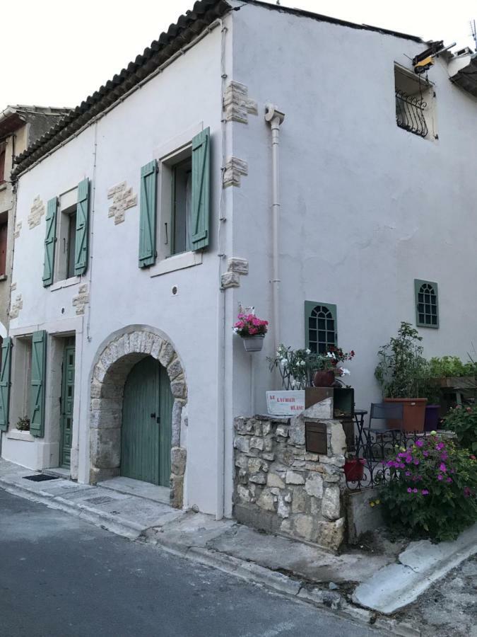 Chambre D'Hotes Le Laurier Blanc Portel-des-Corbieres Exteriör bild